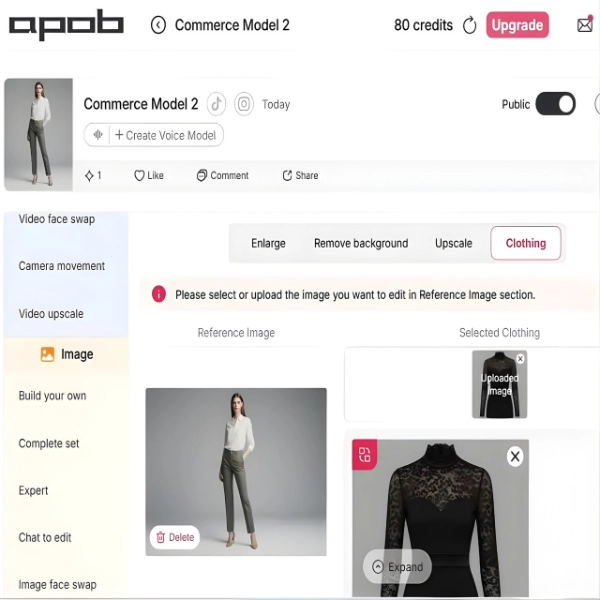 APOB AI Clothes editing- Selecting reference model & clothing