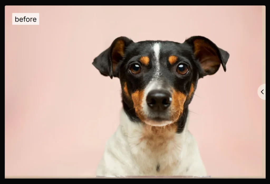 Reference image for Digital Art with OpenArt